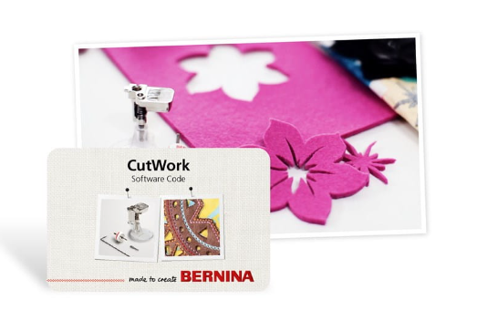 Bernina CutWork Software Code